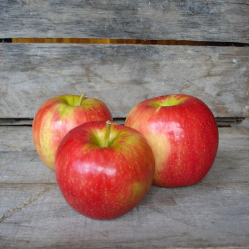 Braeburn Apples (English)