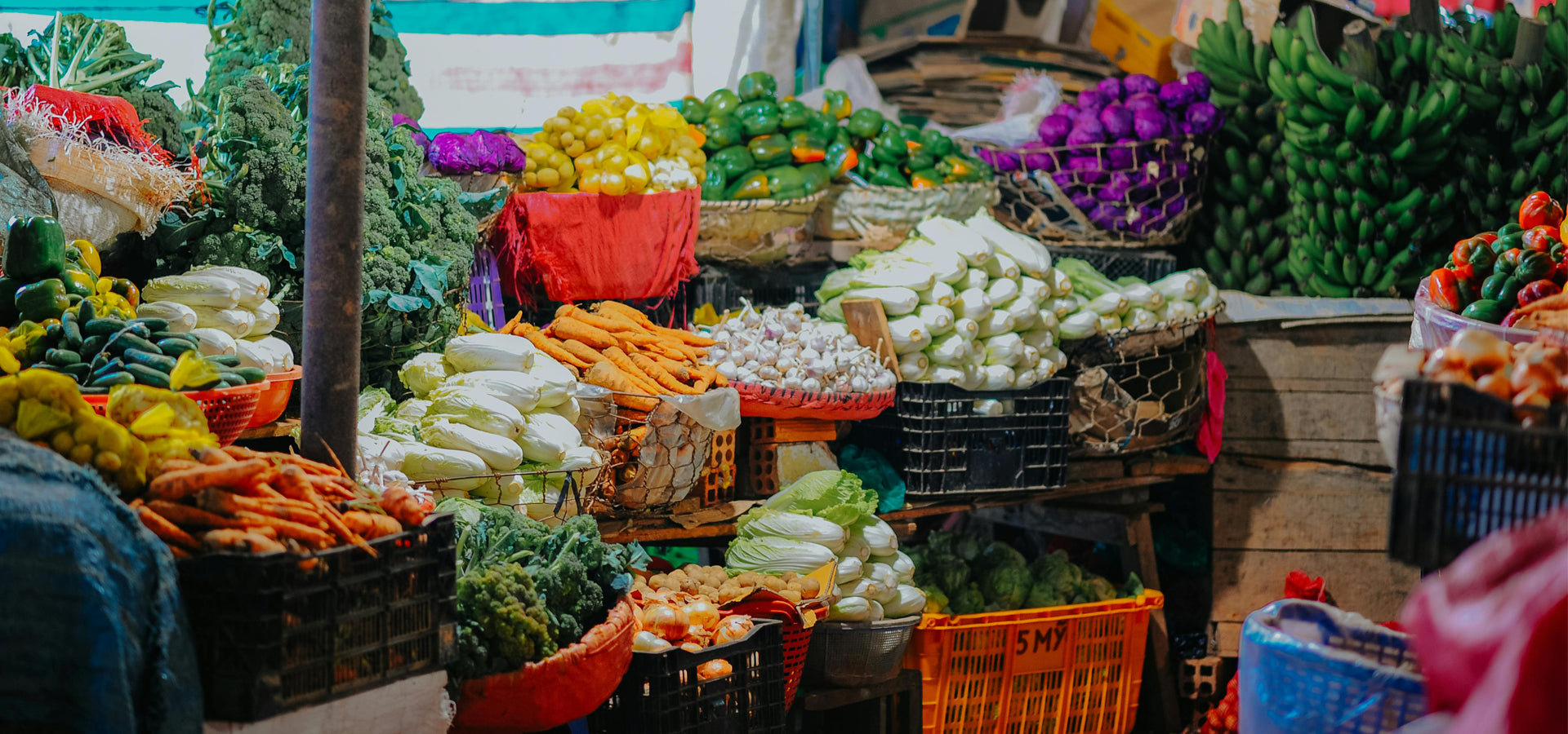 slider image 1621243260e1af0c20-0